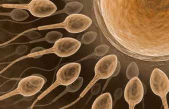 Rede Labs D Or, Clínicas de Reprodução Humana - Foto 1