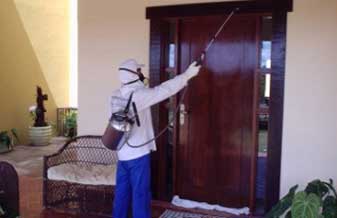 Master Inset Imunizações - Foto 1