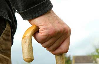 Vovô E Cia - Foto 1