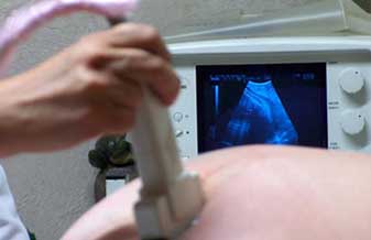 Dra. Vânia Relvas - Foto 1