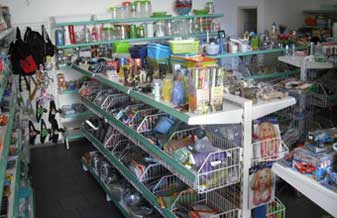 Vitoriosa - Foto 1