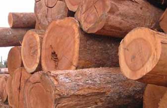 Atakarejo Comércio de Madeiras E Pisos - Foto 1