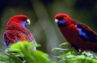 Recrefish Comércio Internacional - Foto 1