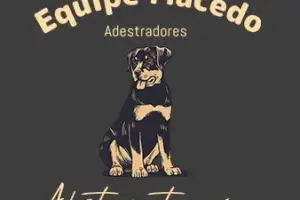Equipe Macedo – Adestramento de cães - Thumb 0