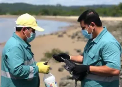 gatos de luz e água