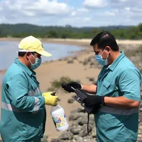 gatos de luz e água