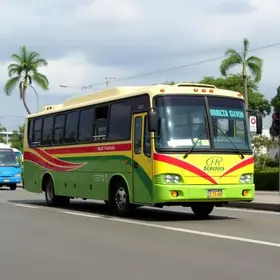 Auto Viação 1001