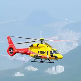 helicóptero Esquilo