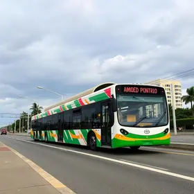 BRT Pontal
