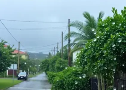 Últimas noticias de Recreio dos Bandeirantes