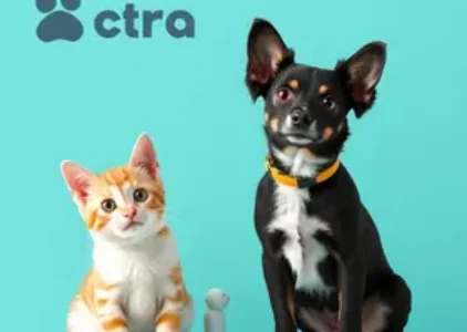 Últimas noticias de Recreio dos Bandeirantes
