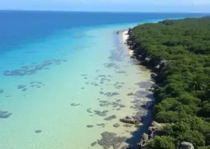 Últimas noticias de Recreio dos Bandeirantes