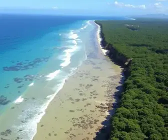 Reserva Marinha Urupirá