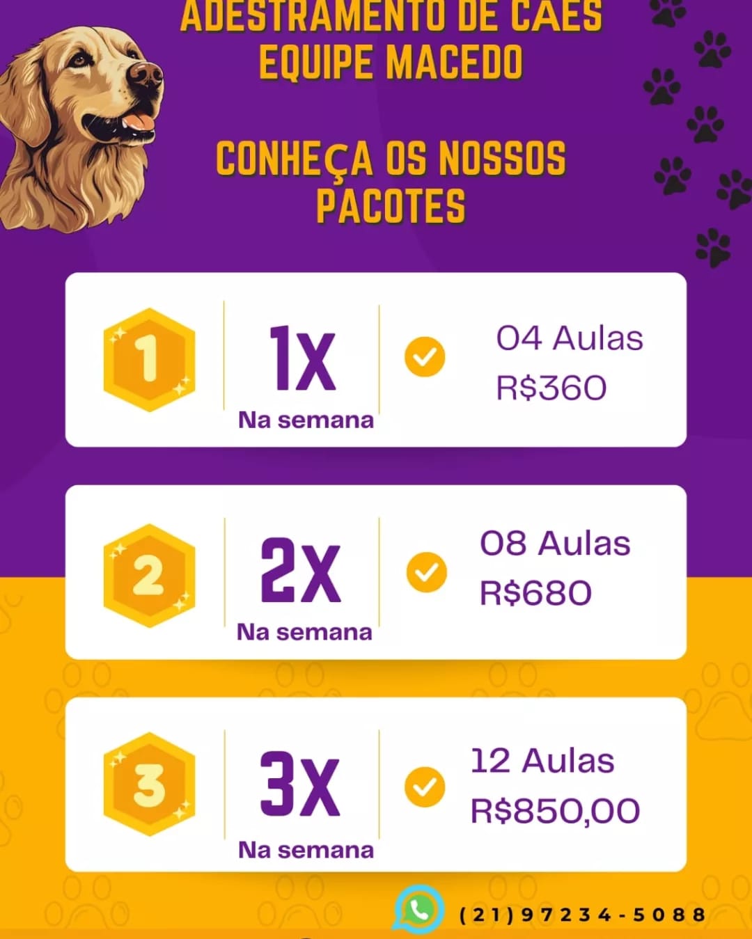 Adestramento de cães Rio de Janeiro e Regiões